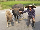 Yangshuo 160